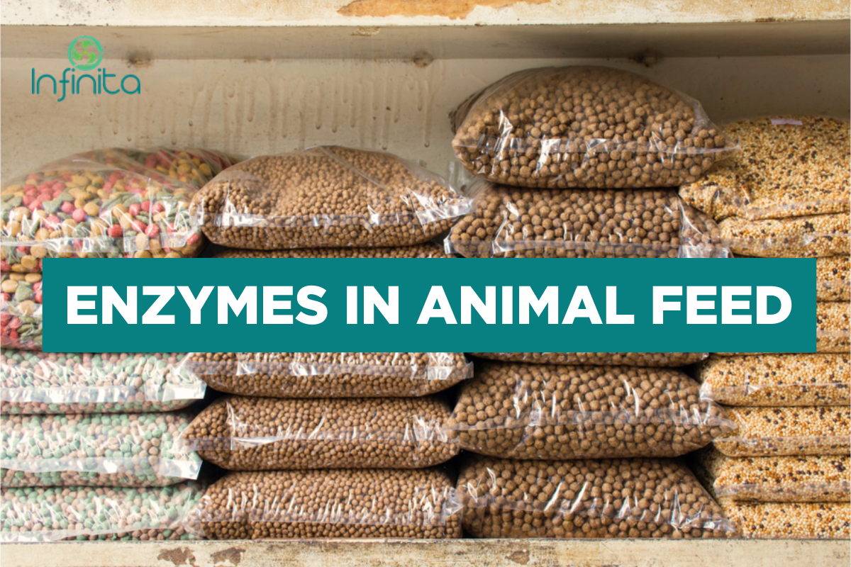 Enzymes In Animal Feed