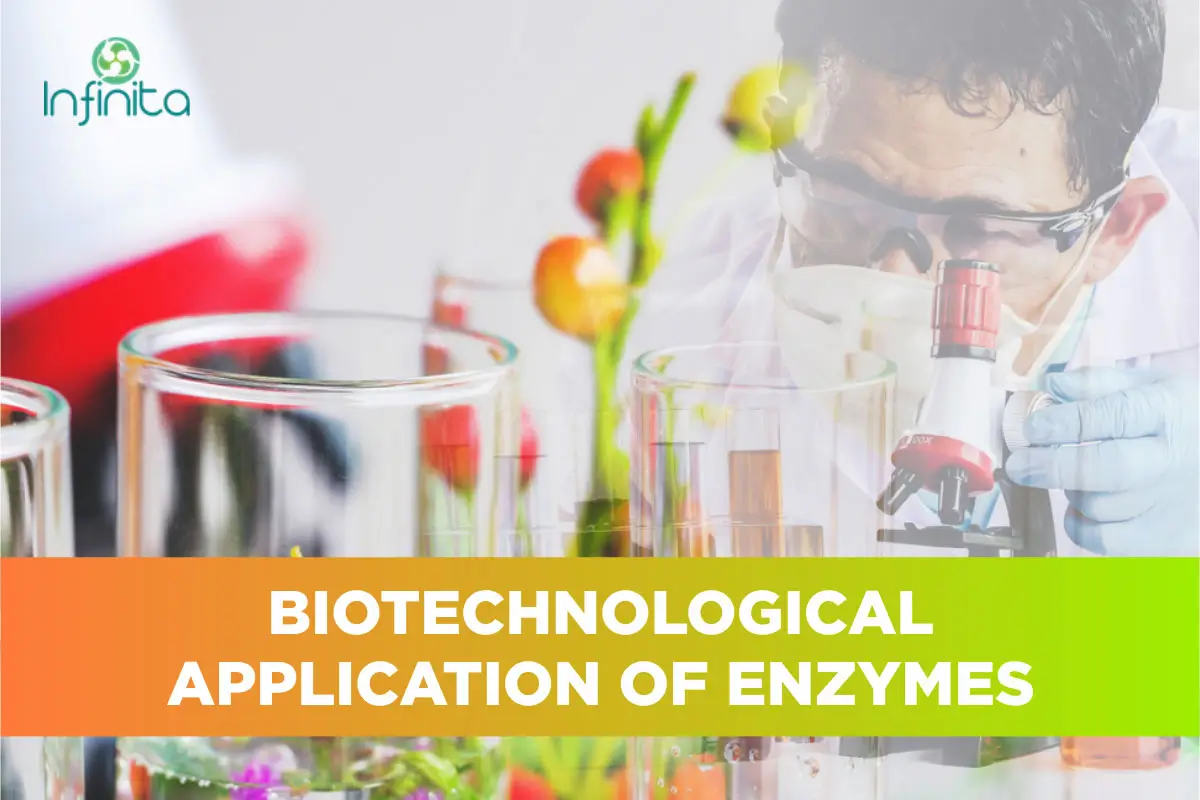 Bio-Technological Applications of Enzymes