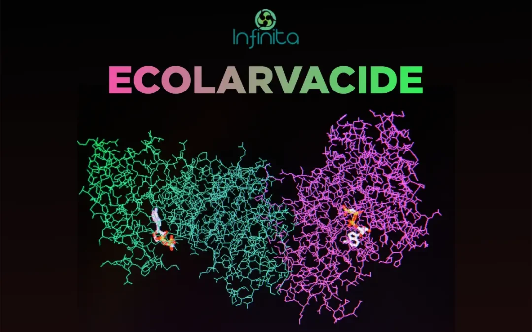 Ecolarvacide: Our Enzyme for Larvae