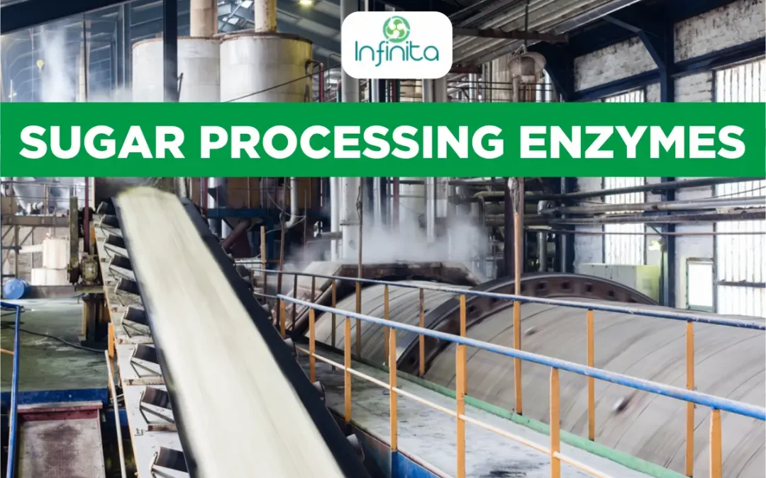 Sugar Processing Enzymes