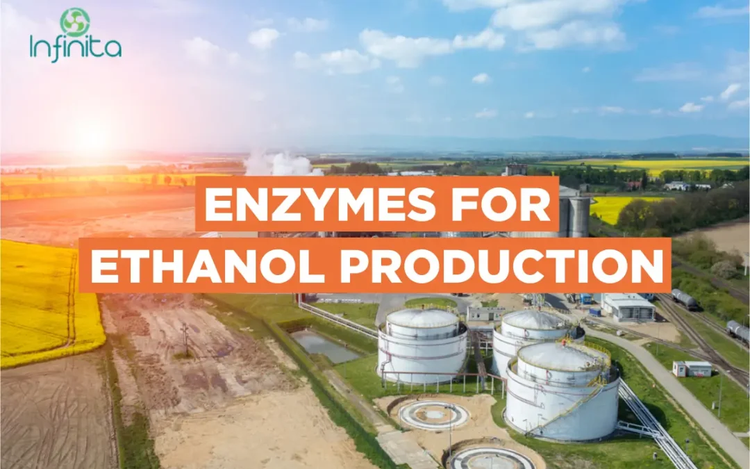 What Is Ethanol And How Is It Made?