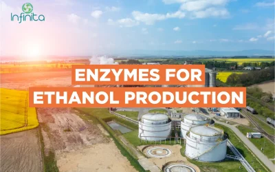 What Is Ethanol And How Is It Made?