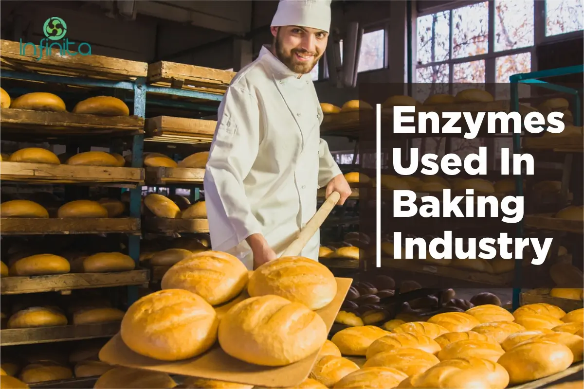 Enzymes Used In Baking Industry