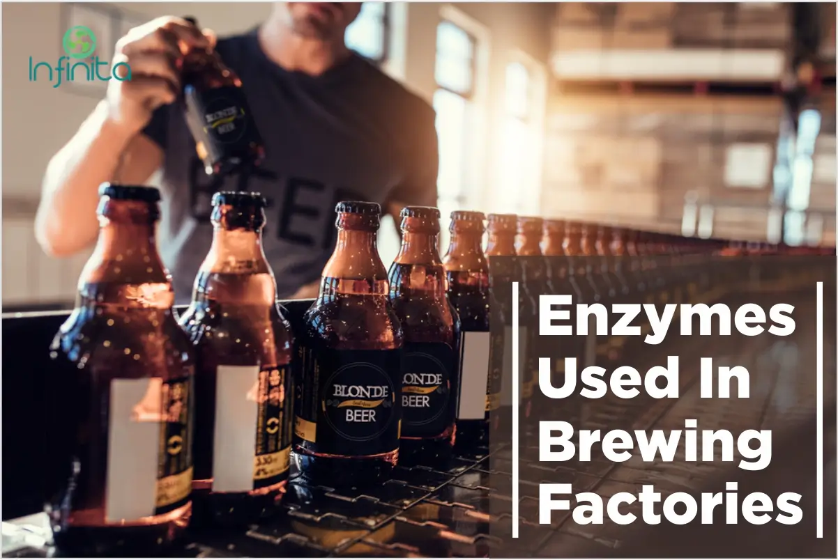 Enzymes Used In The Brewing Process