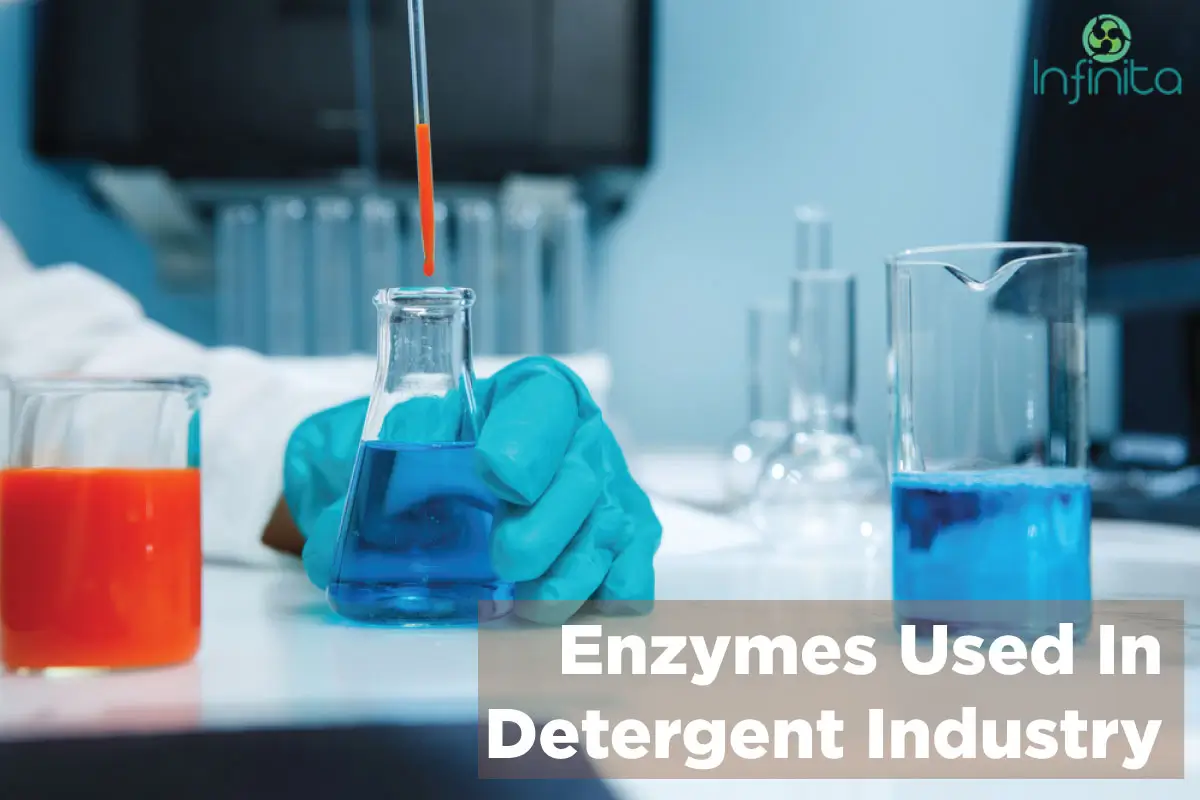 Enzymes Used In The Detergent Industry