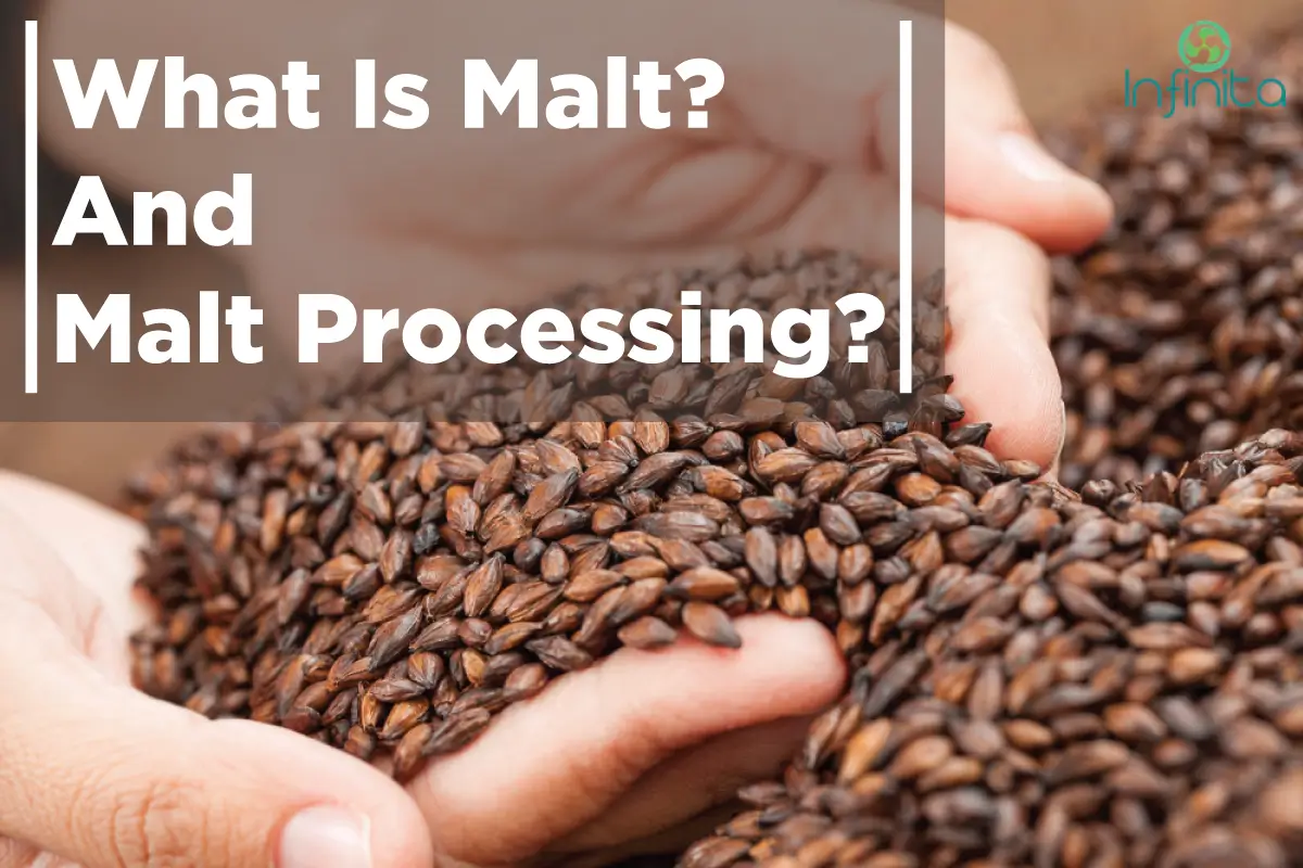 What Is Malt And Malt Processing