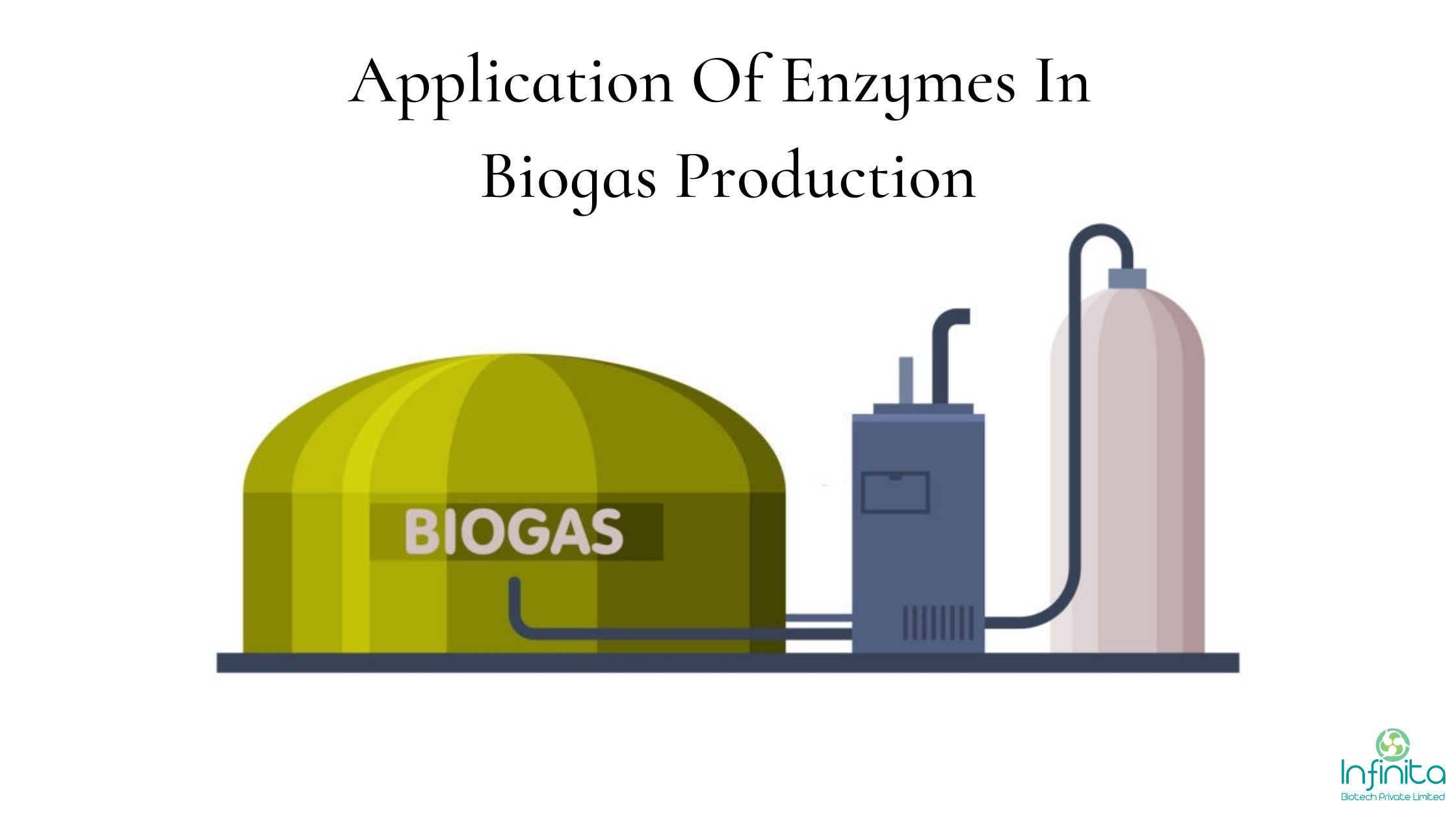 Enzymes Biogas-Production