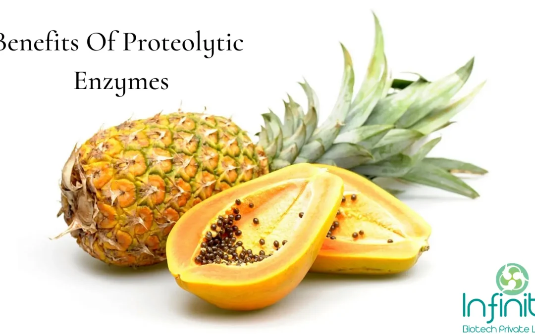 Benefits Of Proteolytic Enzymes