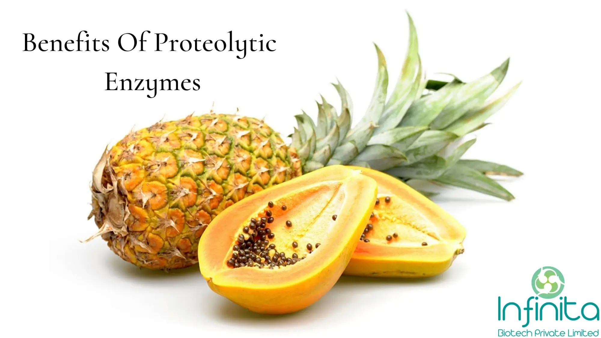 Proteolytic Enzymes