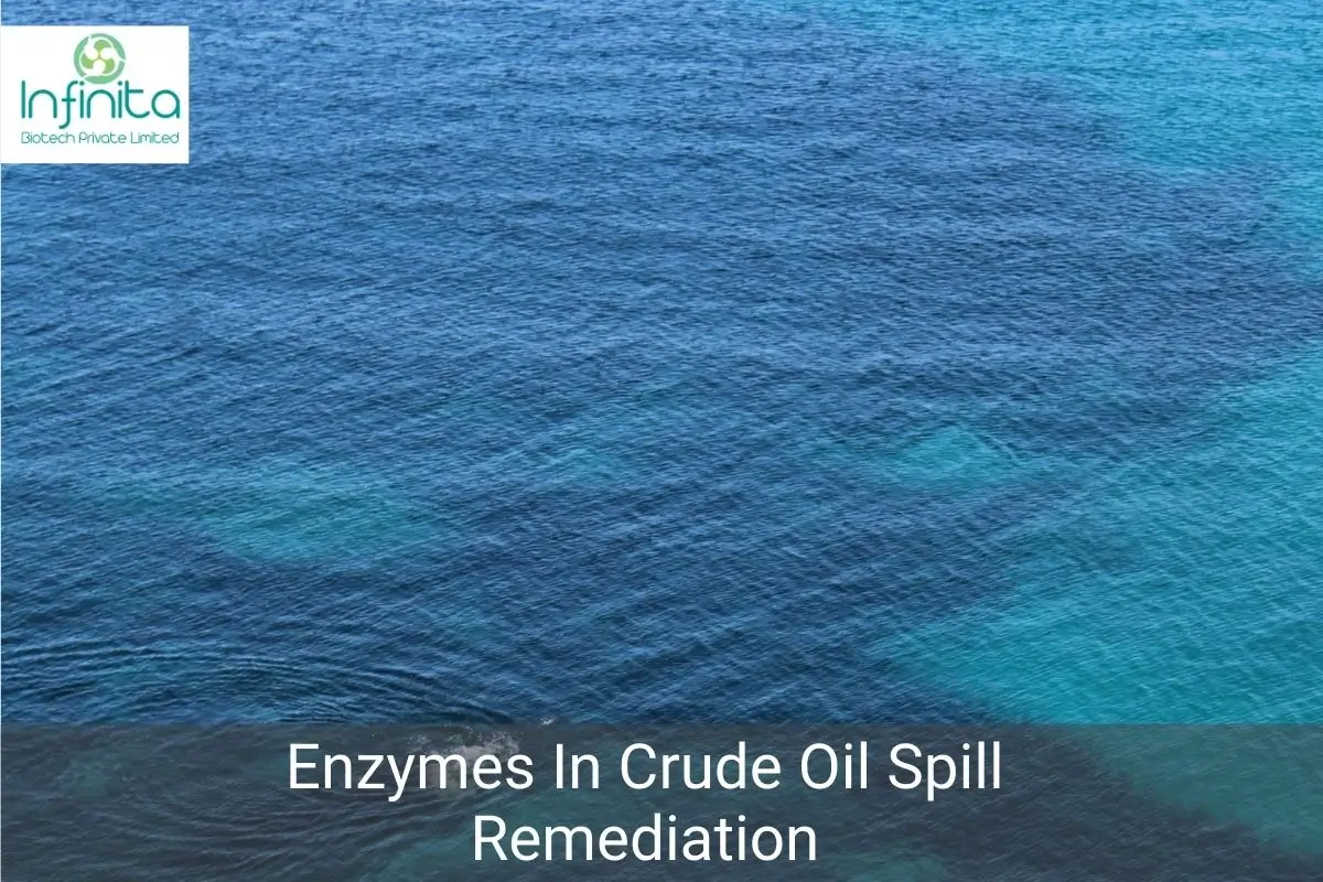 Enzymes Crude Oil Spill Remediation