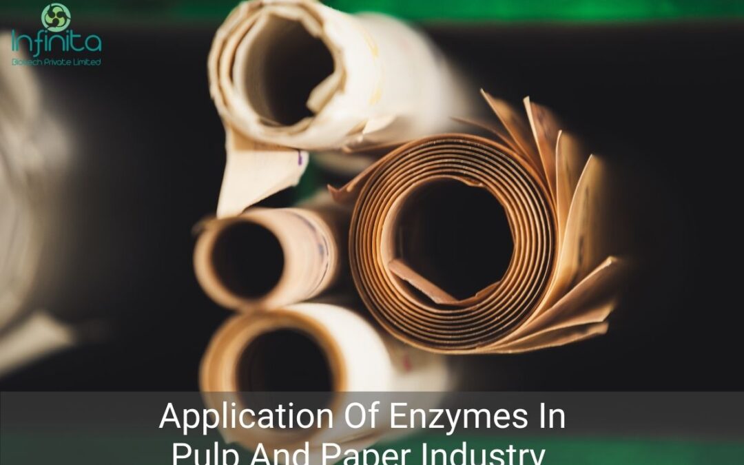 Application Of Enzymes In Pulp And Paper Industry