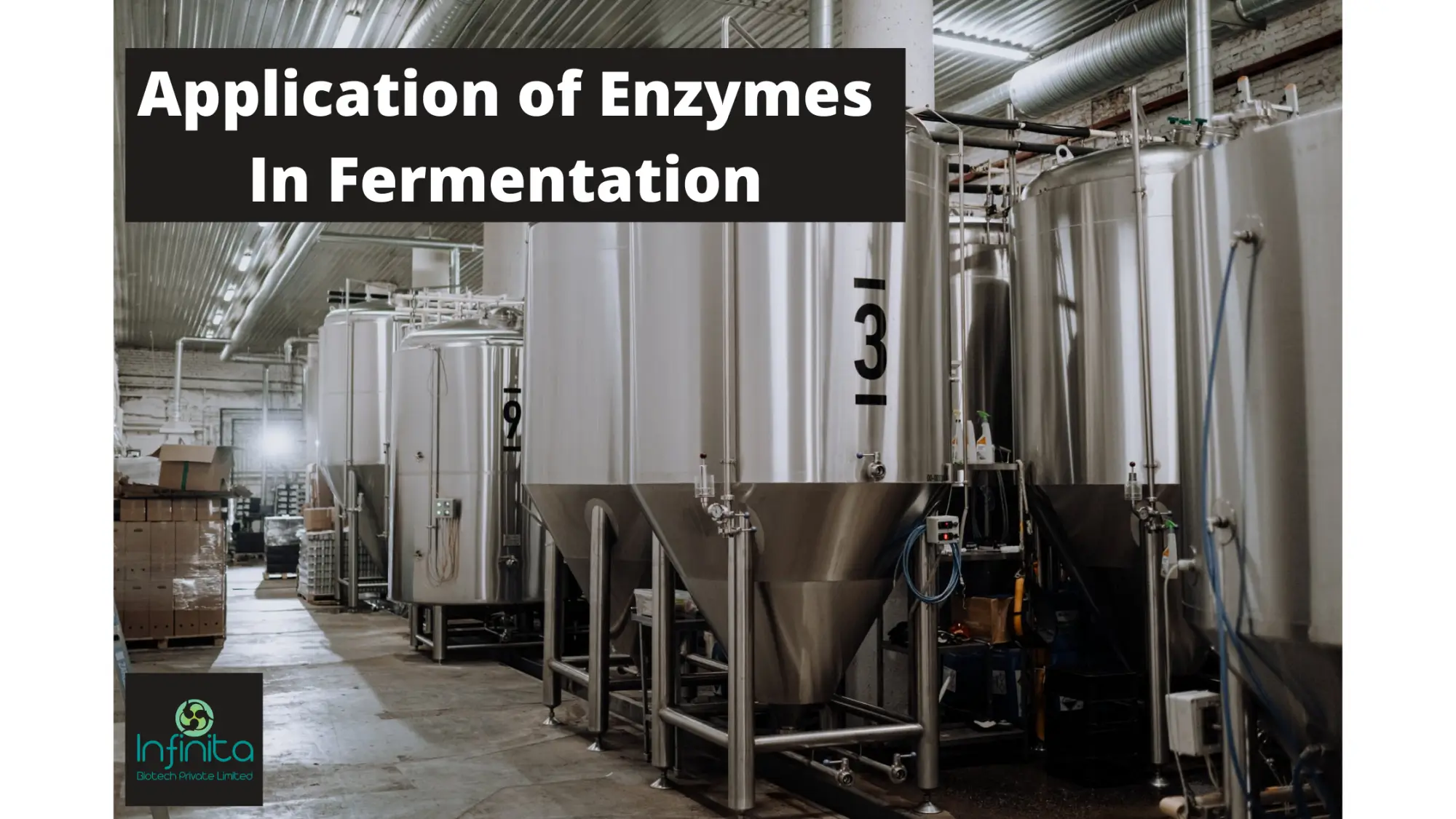 Application-of-Enzymes-In-Fermentation