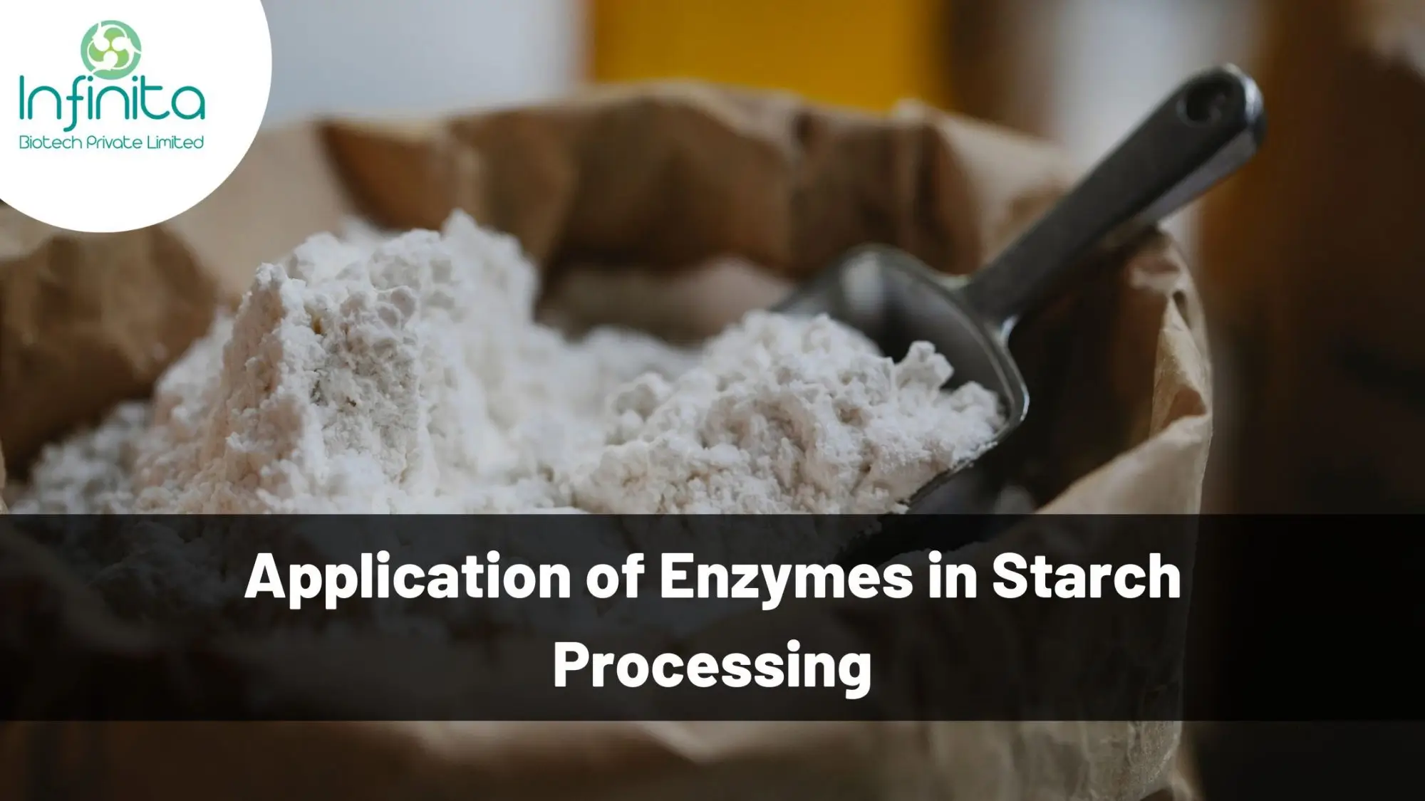 Enzymes Starch-Processing