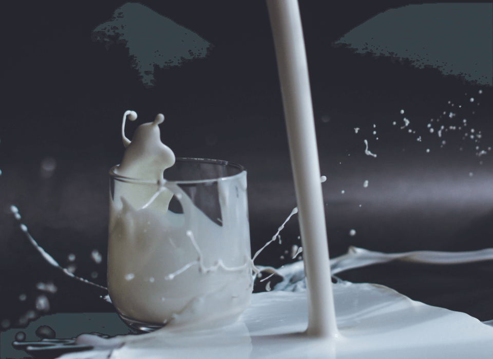 anita-jankovic-c7PT4PZMcNA-unsplash