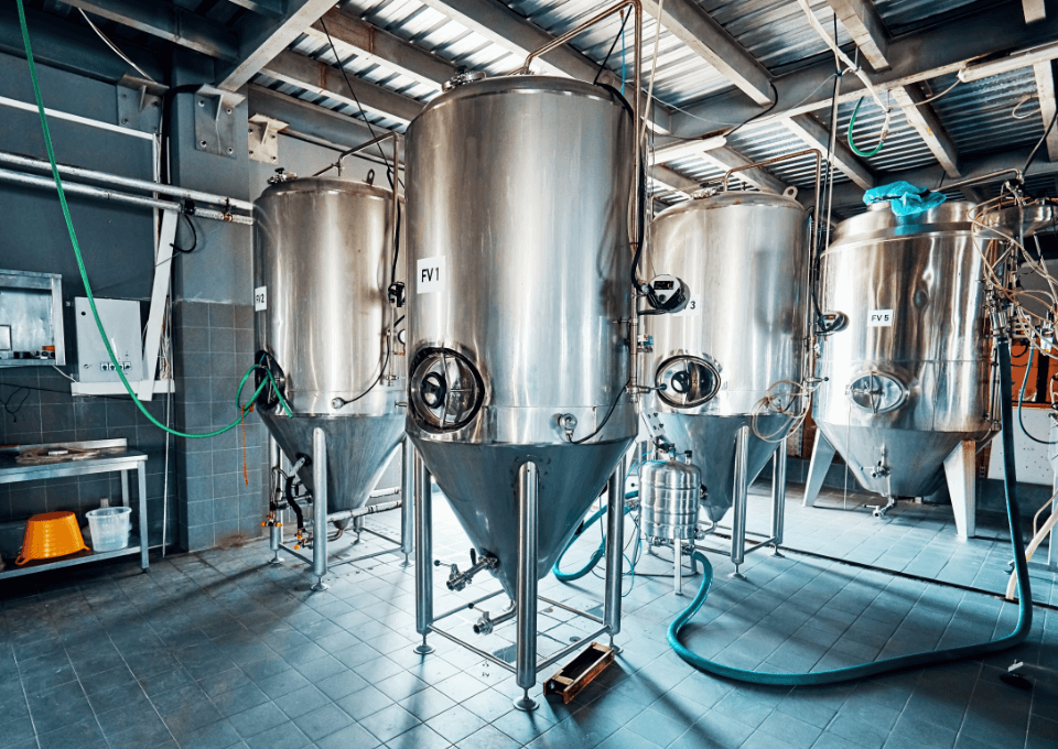 Brewery Enzymes Infinita Biotech
