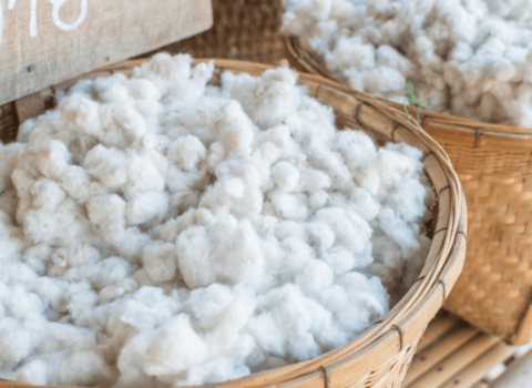 Textile Enzyme Manufacturer | Enzymes Used In Textile Industry