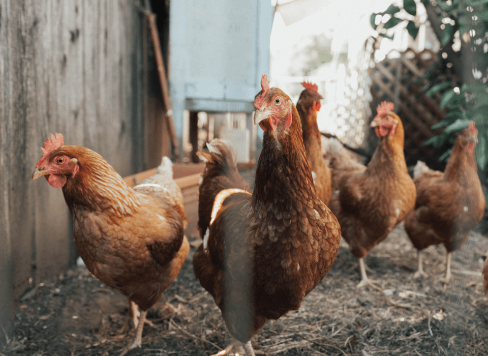 william-moreland-8wWpDF4Av-Y-unsplash