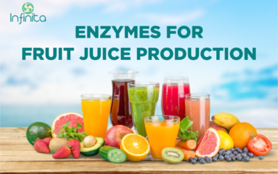 Enzymes In Fruit Juice Production