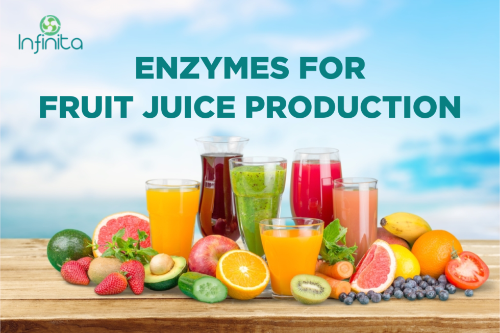 Benefits Of Enzymes In Fruit Juice Infinita Biotech