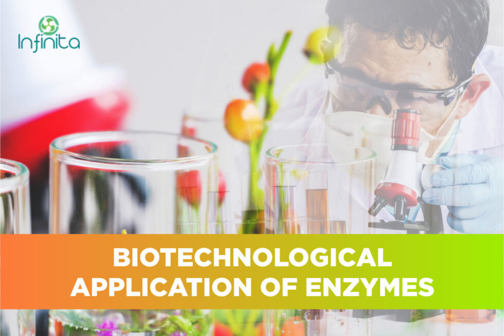 Applications Of Enzymes In Biotechnology | Infinita Biotech