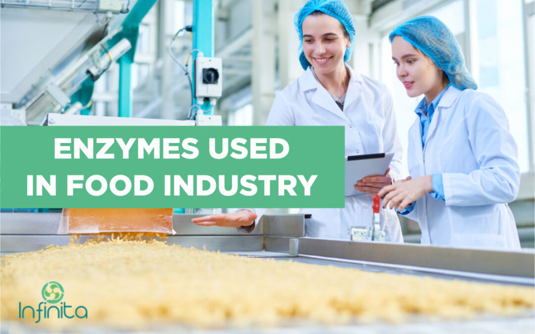 Enzymes Used In The Food Industry