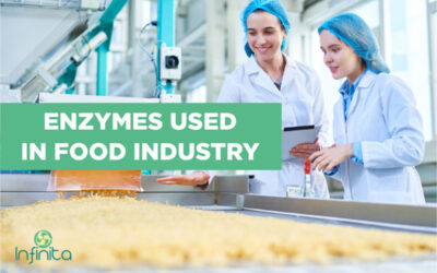 Enzymes Used In The Food Industry