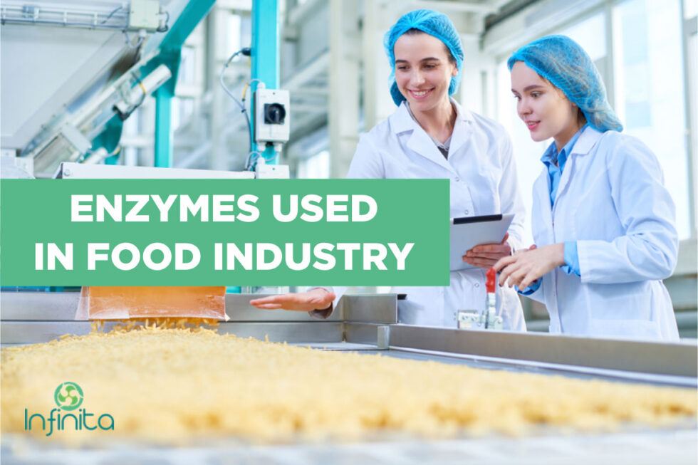 How Are Enzymes Used In The Food Industry Infinita Biotech