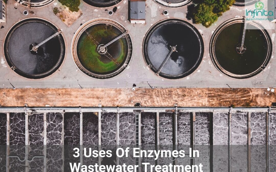 3 Uses Of Enzymes In Wastewater Treatement