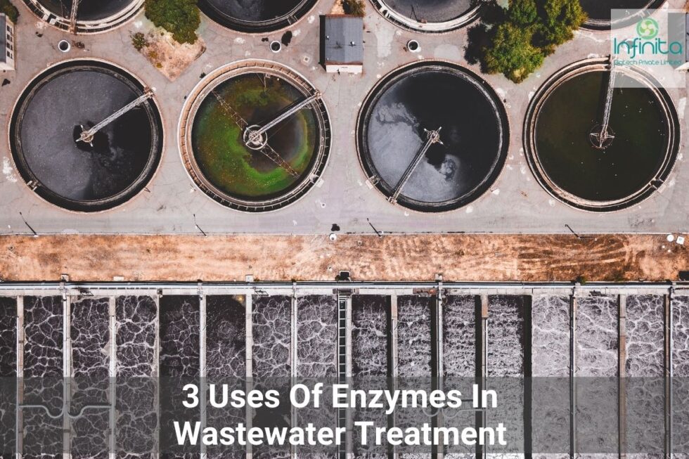 Top 3 Ways To Use Enzymes In Wastewater Treatment