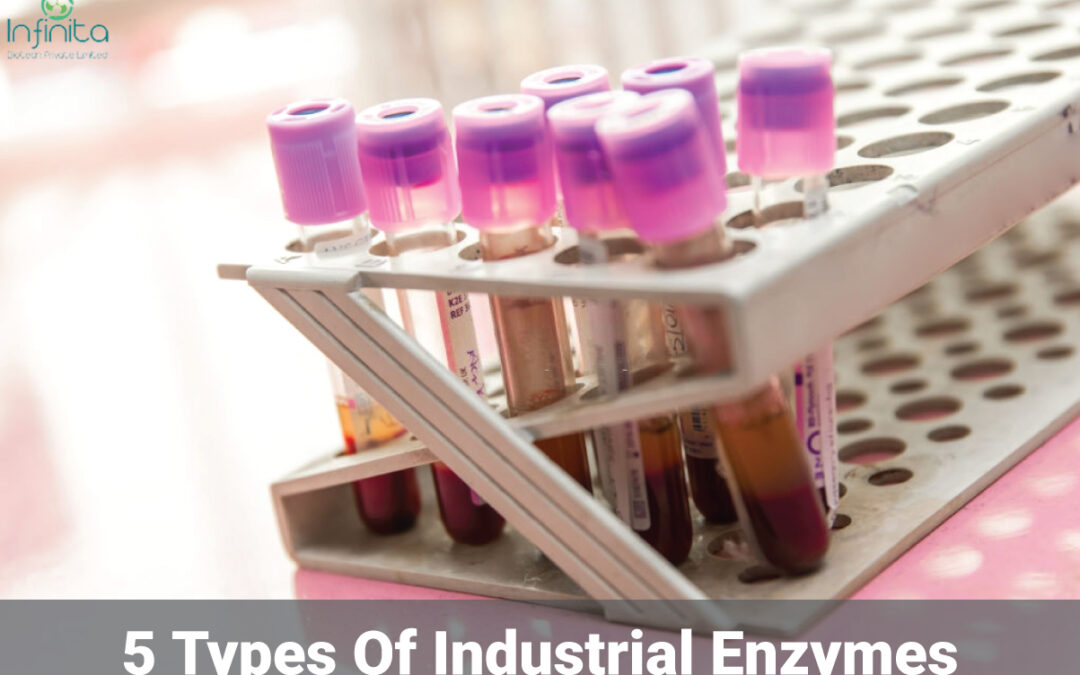 5 Types of Industrial Enzymes