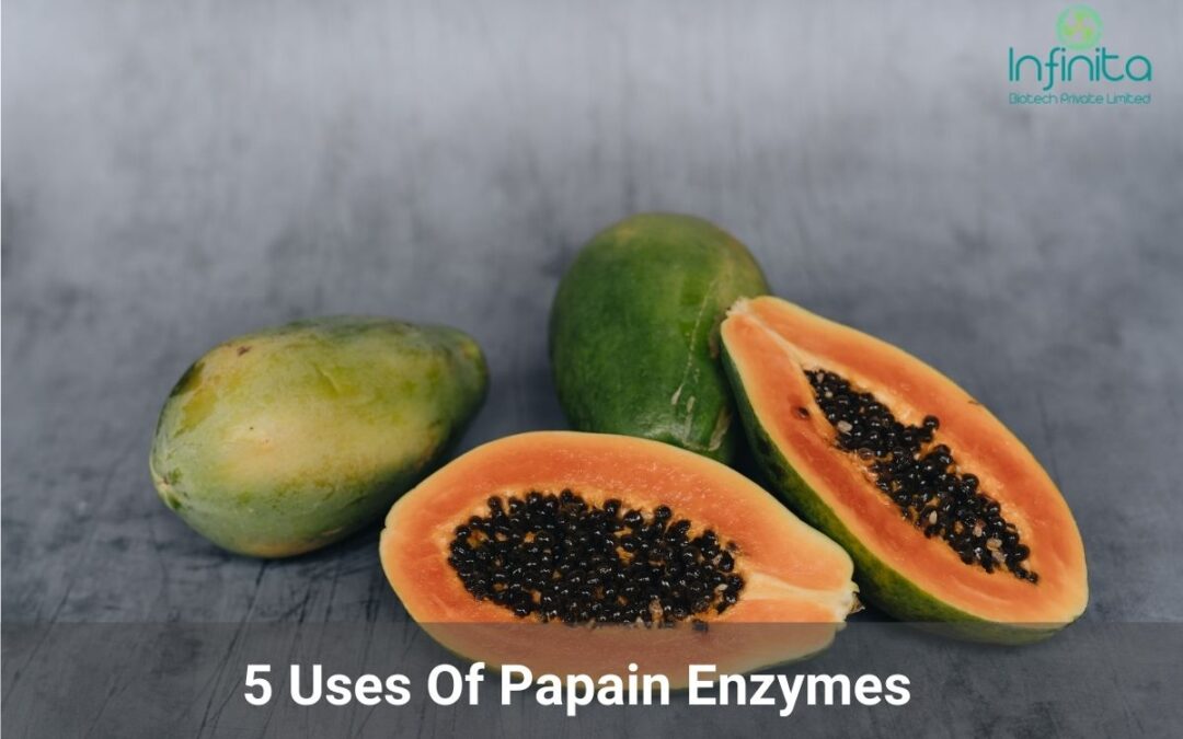5 Uses Of Papain Enzymes