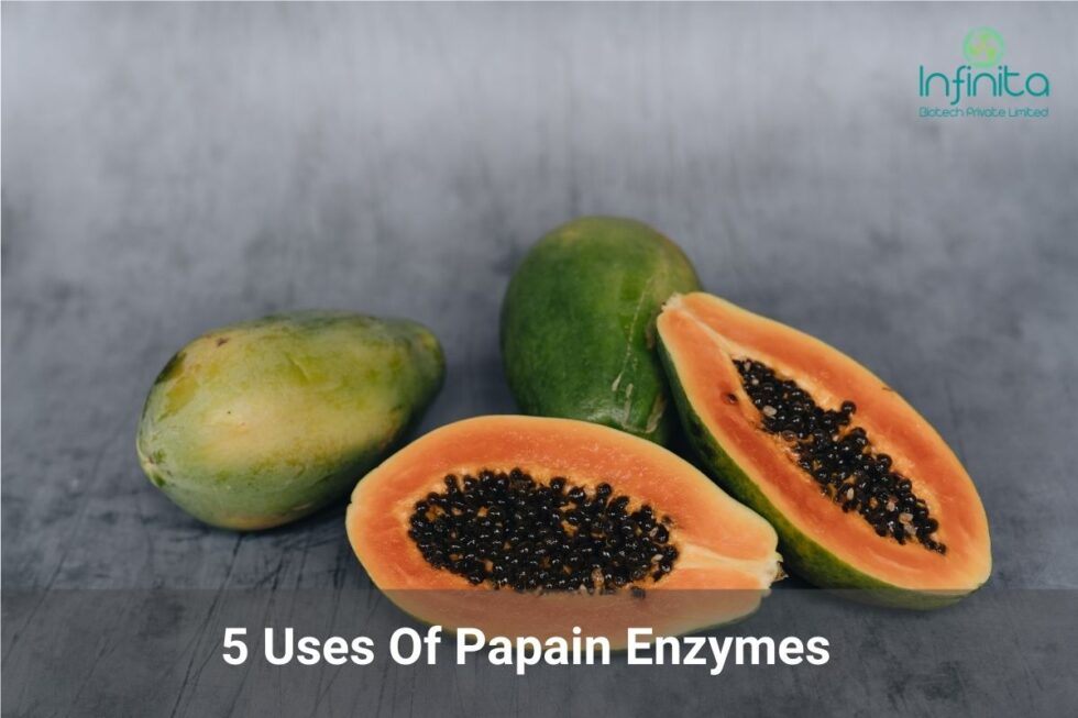 5 Uses Of Papain Enzymes You Never Knew Infinita Biotech