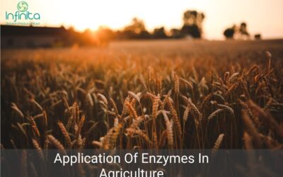 Application Of Enzymes In Agriculture