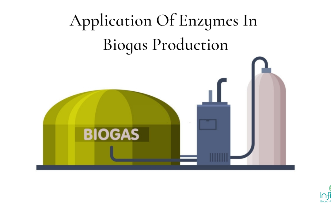 Application Of Enzymes In Biogas Production