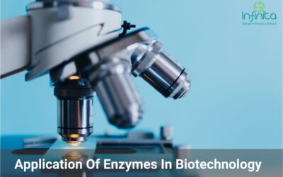 Application Of Enzymes In Biotechnology