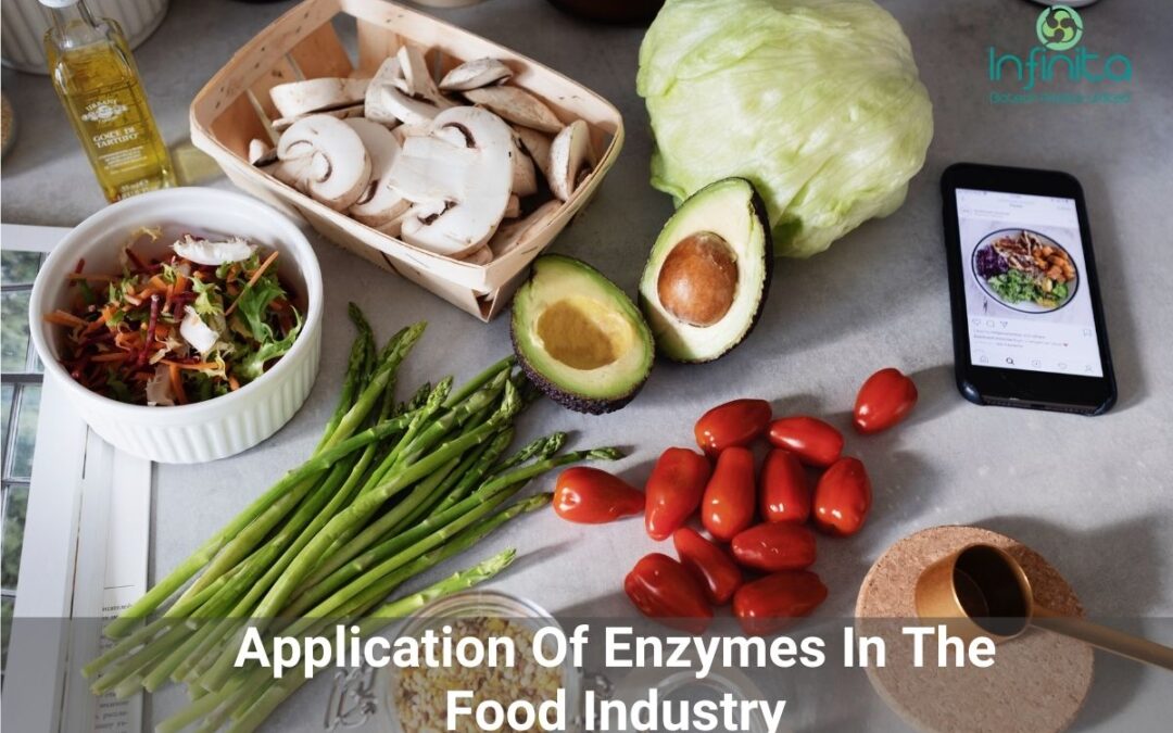 Application Of Enzymes In The Food Industry