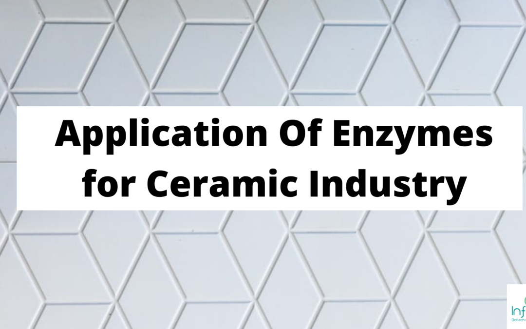 Application of Enzymes in Ceramic Industry