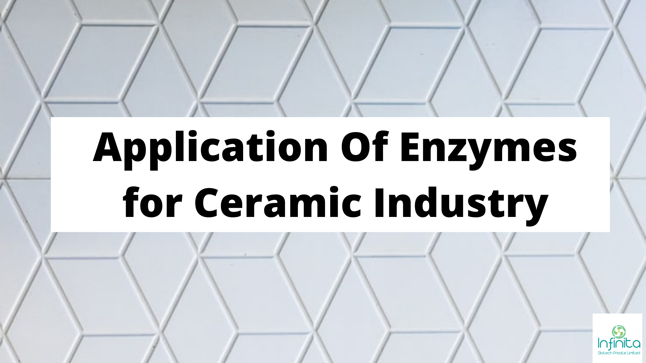 Application Of Enzymes for Ceramic Industry