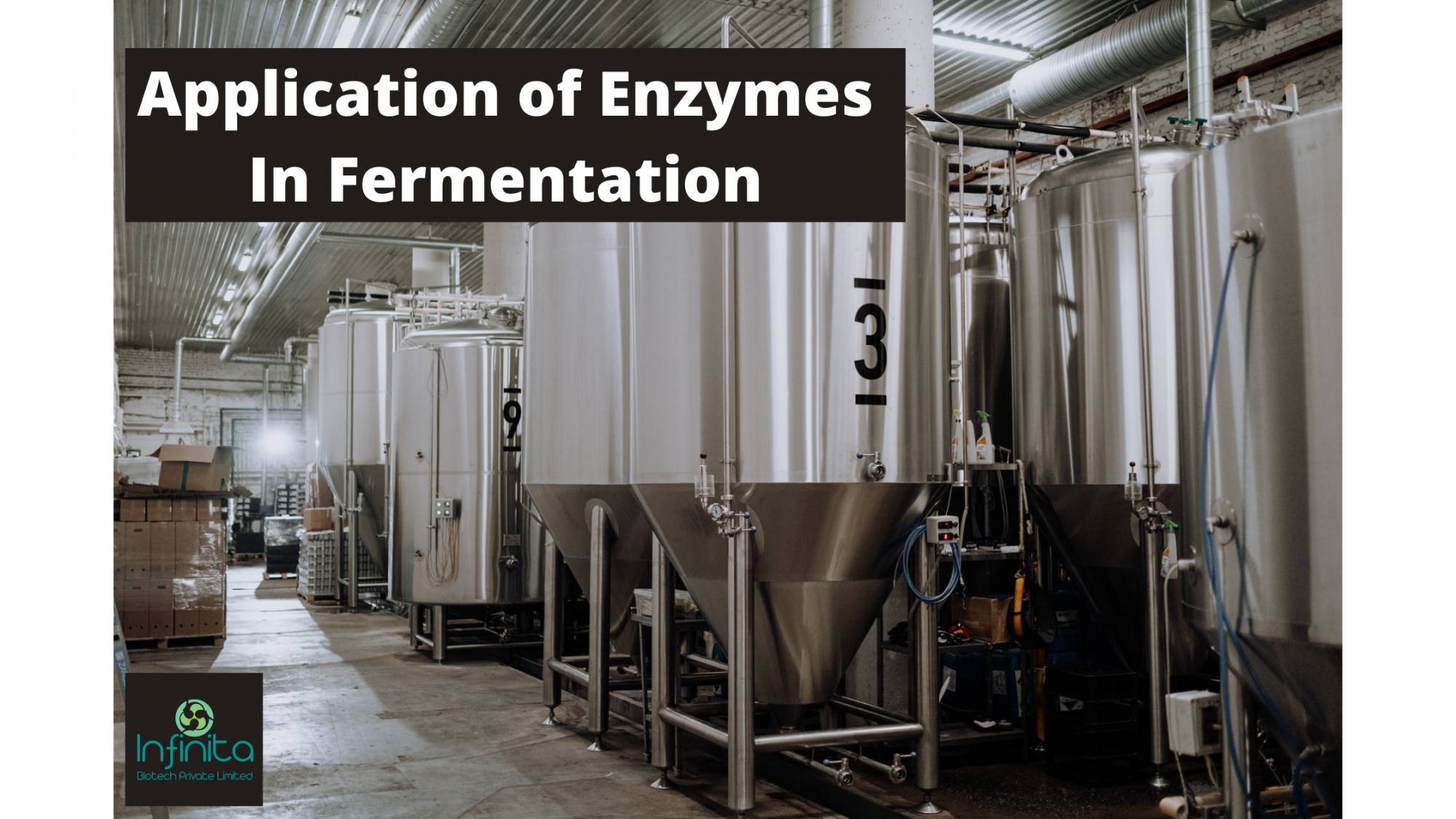 What Is Fermentation Application Of Enzymes In Fermentation