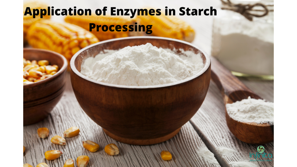 Application Of Enzymes In Starch Processing