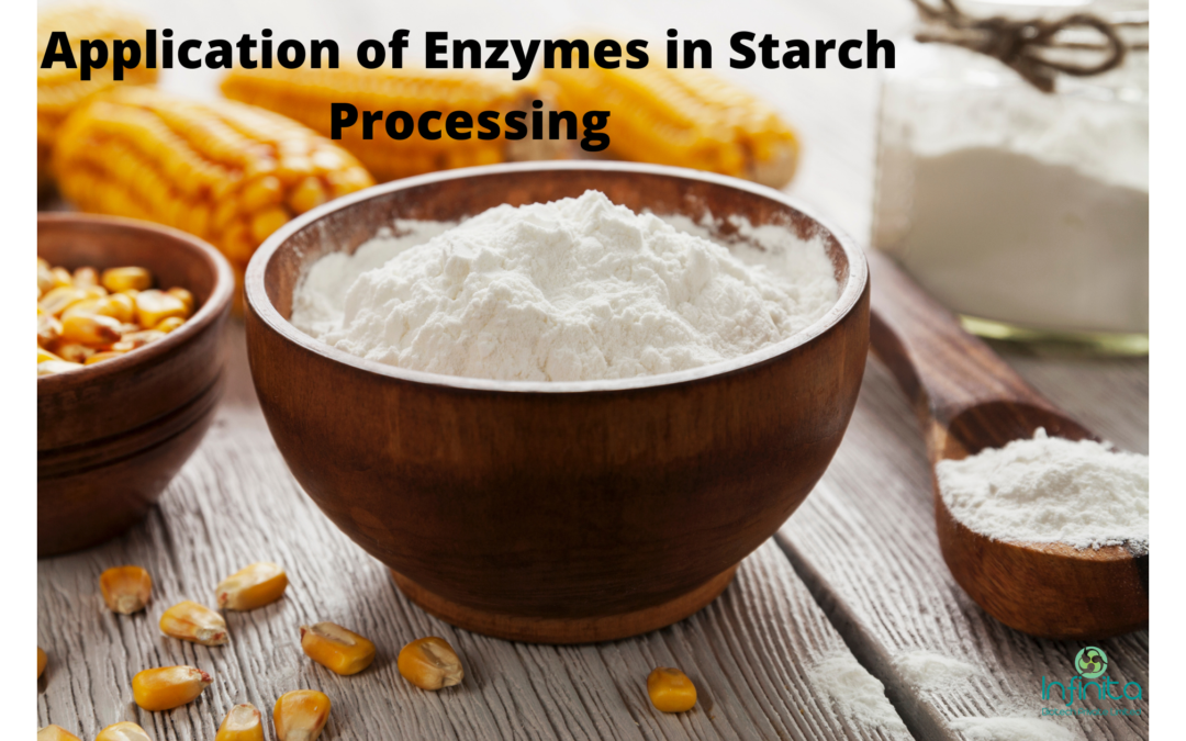 Application Of Enzymes In Starch Processing