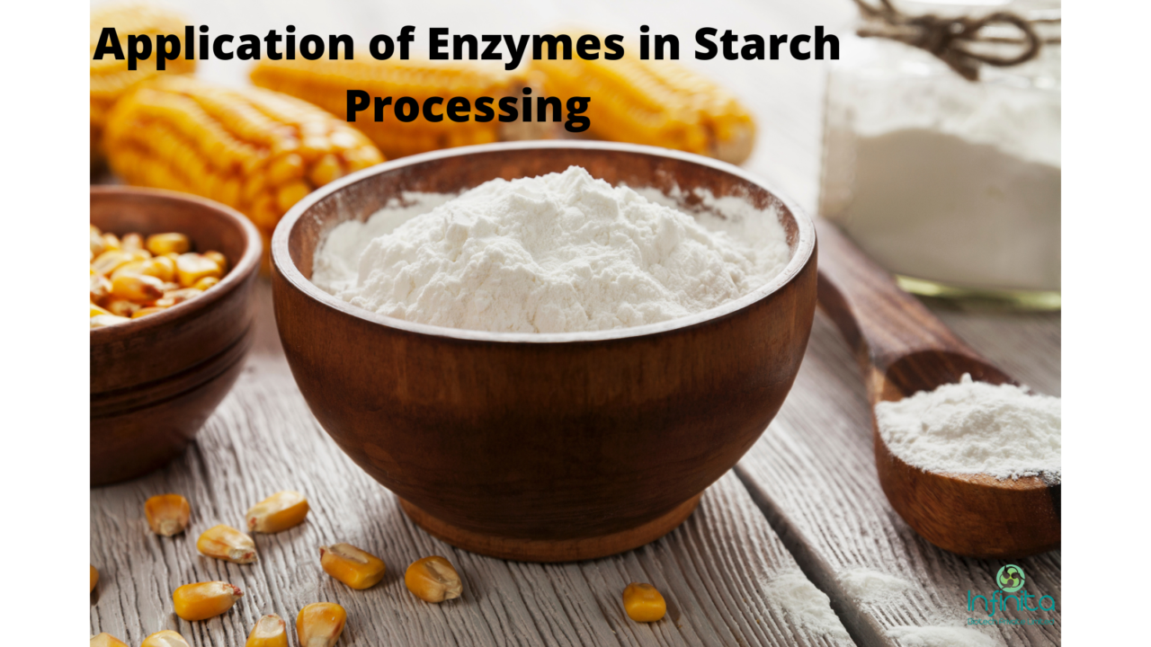 Application Of Enzymes In Starch Processing Infinita Biotech