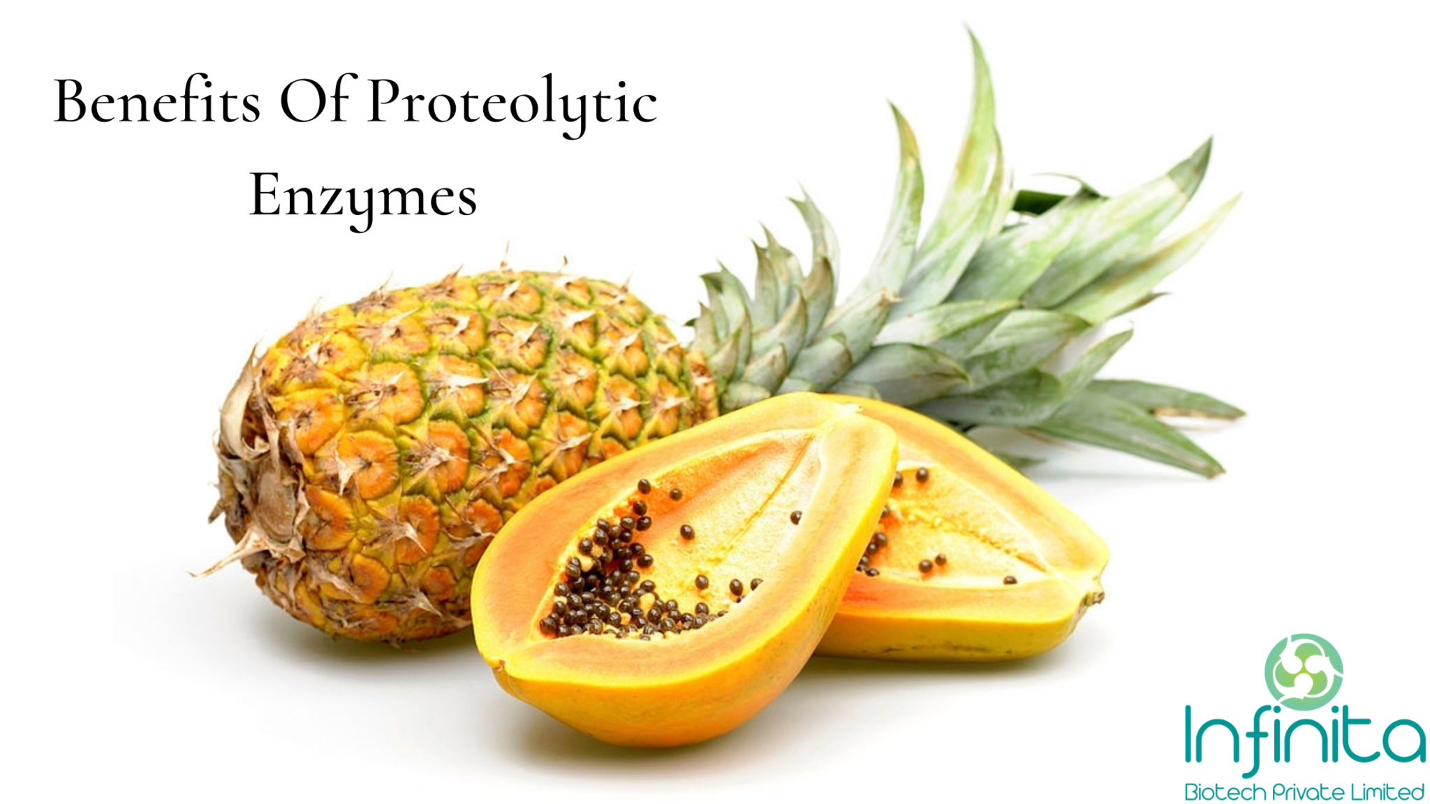 what are proteolytic enzymes benefits and uses