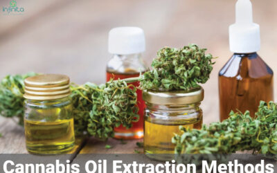 What Are The Best Cannabis Oil Extraction Methods