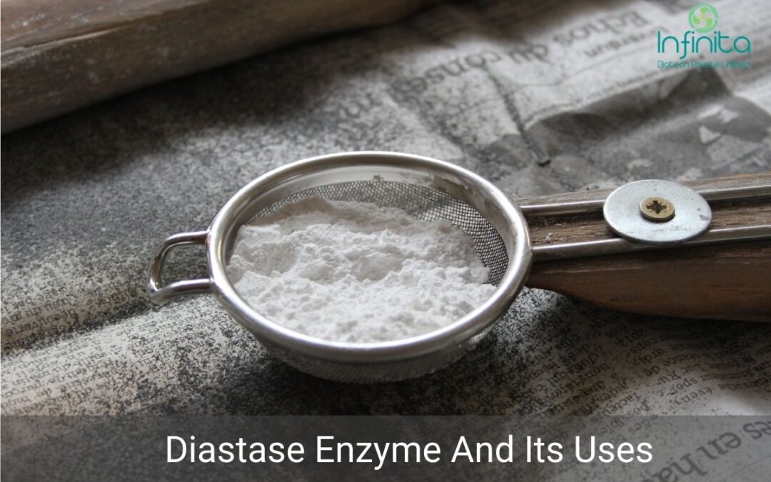 Diastase Enzyme And Its Uses