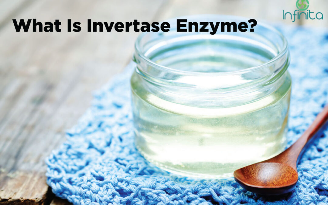 What Is Invertase Enzyme & How To Make Invertase Enzyme?