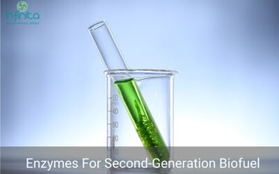 Enzymes For Second-Generation Biofuel