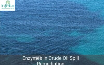 Which Enzymes Are Used For Crude Oil Spill Remediation?