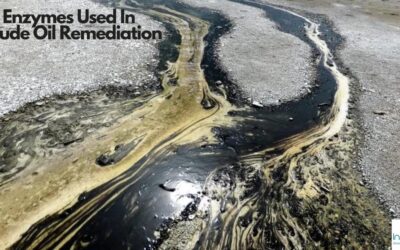 Enzymes Used In Crude Oil Spill Remediation
