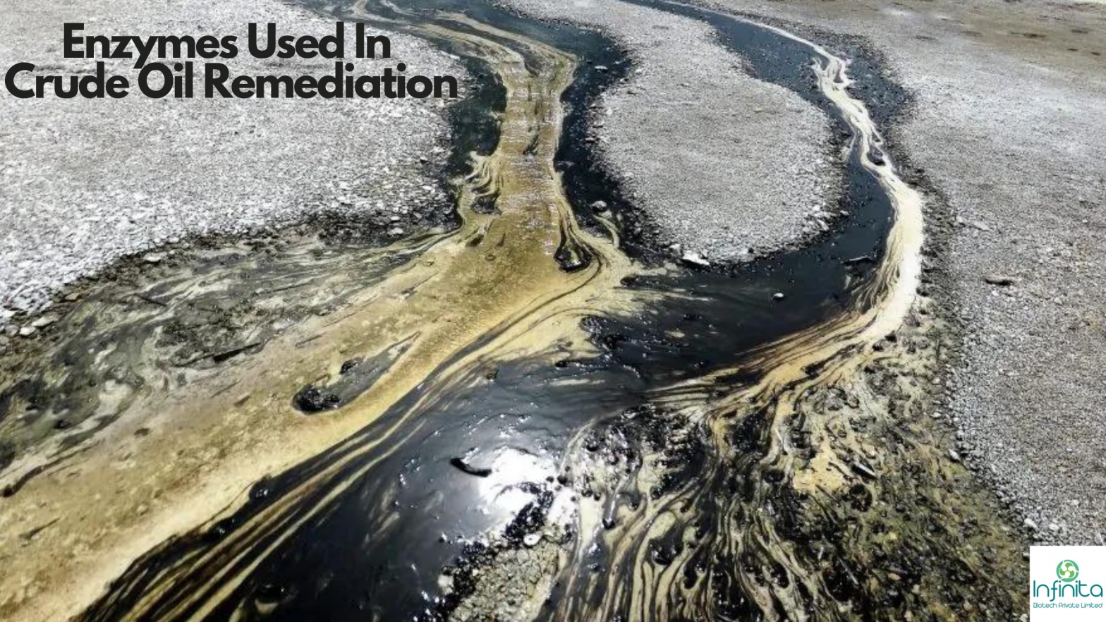 Enzymes Used In Crude Oil Remediation